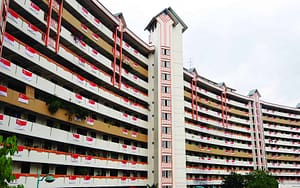 Singapore HDB Blocks with Singaporean Flags