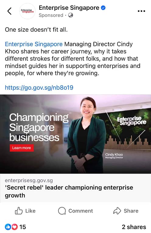 Enterprise Singapore Facebook Ad